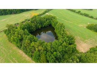 TRACT 60 - ILLINOIS LAND AUCTION - 4,810+/- ACRES OFFERED IN 85 TRACTS IN FRANKLIN, WILLIAMSON, HAMILTON & SALINE COUNTIES, ILLINOIS